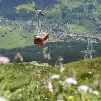 Gotschnanahn Sichtung Richtung Klosters Gondel Sommer 02 (C) Stefanschlumpf