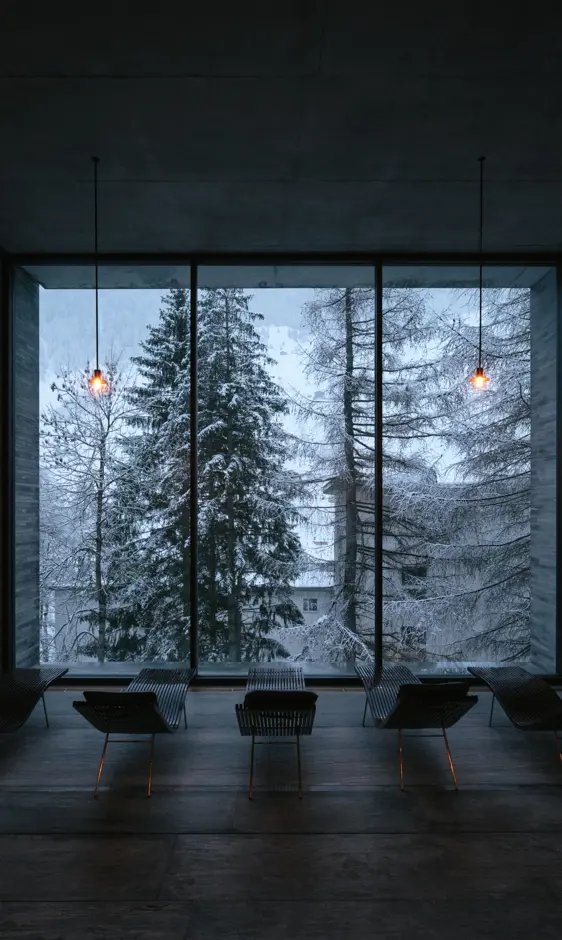 WEB 20240227 DSF1819 Final©2024 Julien L. Balmer, All Rights Reserved