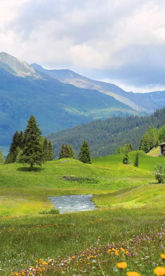 Dischma Valley Destination Davos Klosters