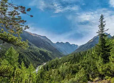 Swiss National Park Hans Lozza