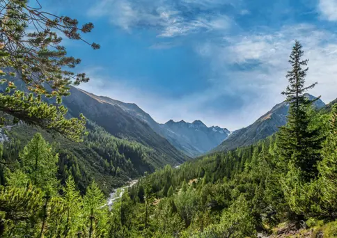 Swiss National Park Hans Lozza