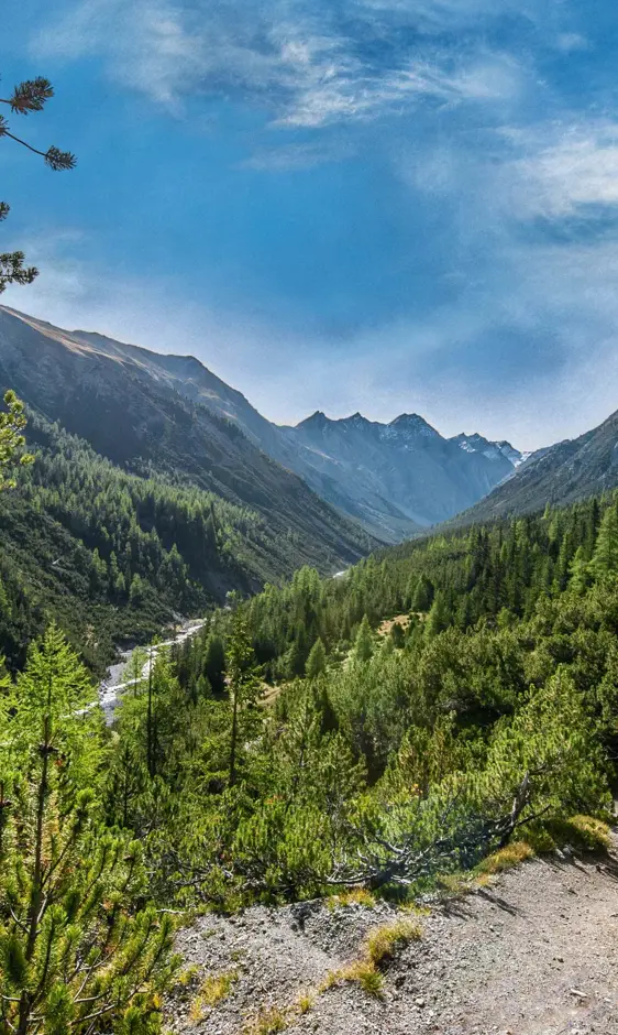 Swiss National Park Hans Lozza