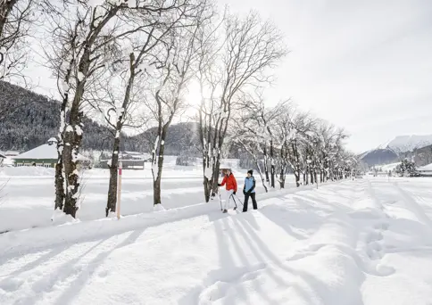 Winter Hiking ©Destination Davos Klosters, Martin Bissig