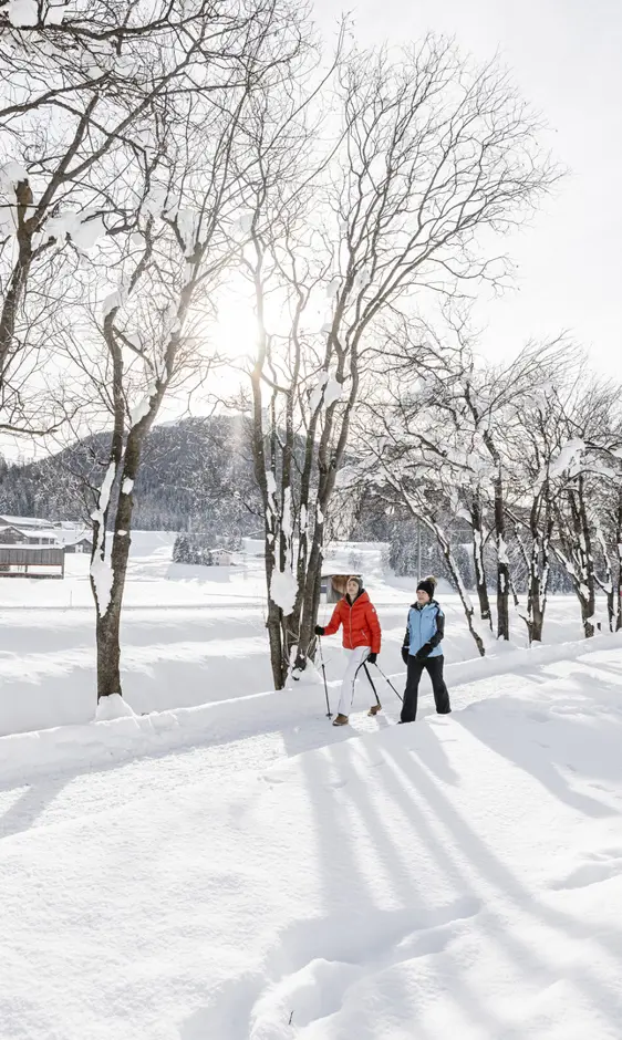 Winter Hiking ©Destination Davos Klosters, Martin Bissig